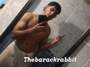 Thebarackrabbit