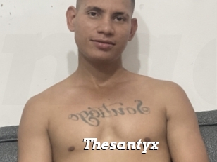 Thesantyx