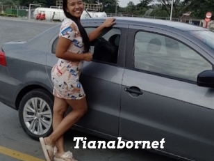 Tianabornet