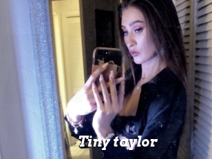 Tiny_taylor