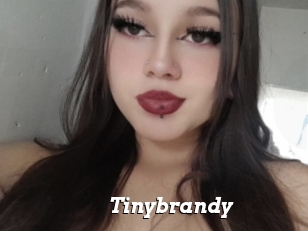 Tinybrandy