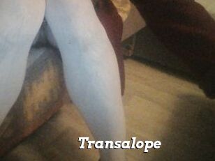 Transalope