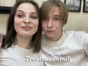 Trevisandemily