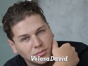 VelosaDavid