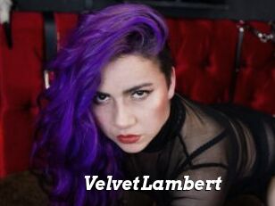 VelvetLambert