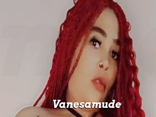 Vanesamude