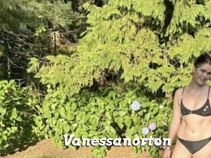 Vanessanorton