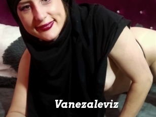 Vanezaleviz