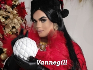 Vannegill