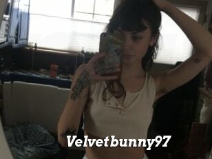 Velvetbunny97