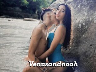 Venusandnoah