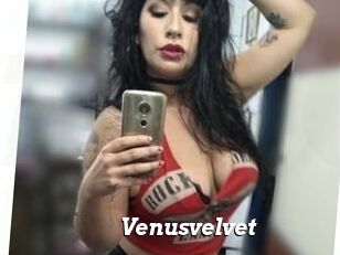 Venusvelvet