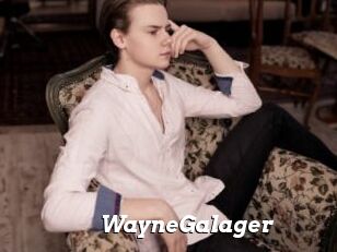 WayneGalager