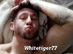 Whitetiger77