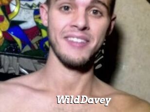 WildDavey