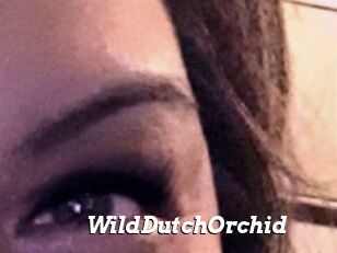 WildDutchOrchid