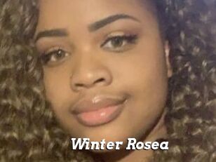Winter_Rosea