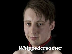 Whippedcreamer