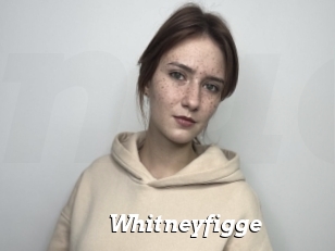 Whitneyfigge