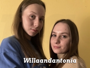 Willaandantonia