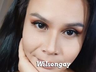 Wilsongay