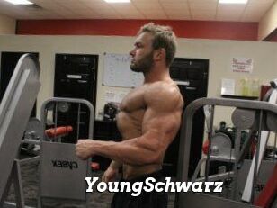 YoungSchwarz