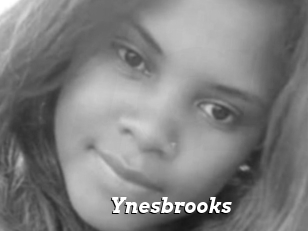 Ynesbrooks